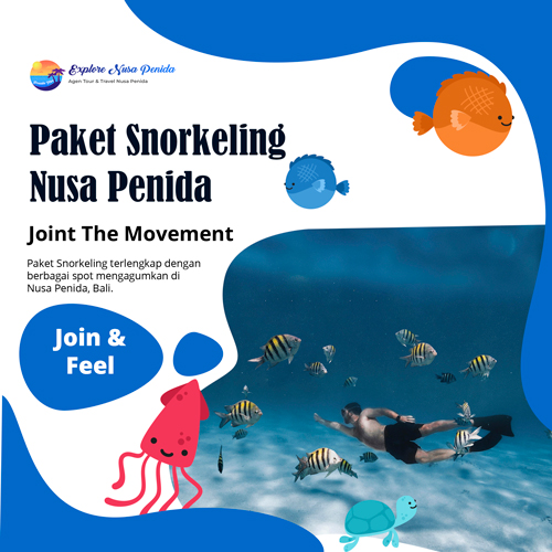 Paket Snorkeling Nusa Penida